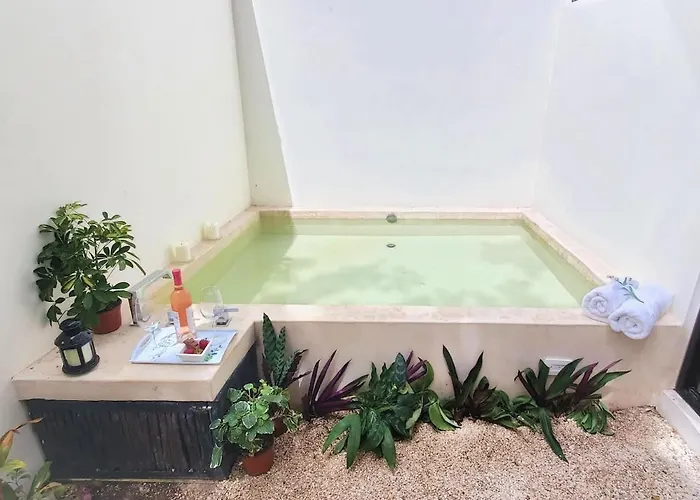 Private Jungle Cool Pool 500 Mbps Wi-fi 3 Bikes King Bed Apartment *
