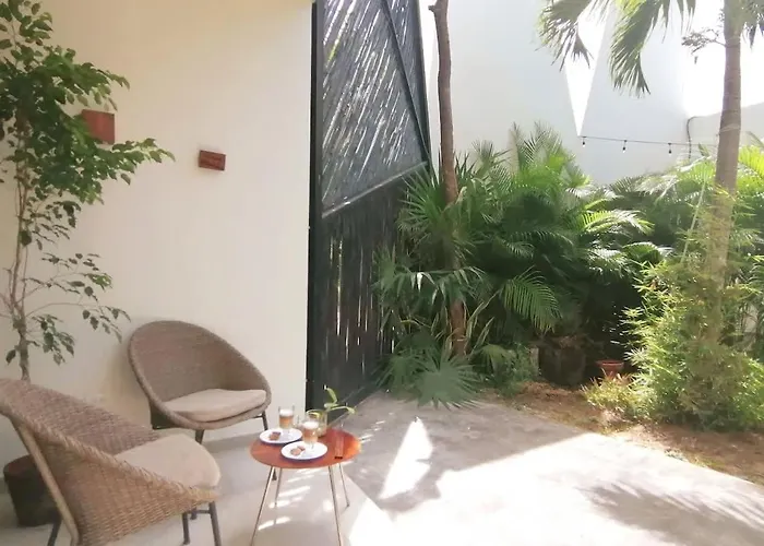 Apartment Private Jungle Cool Pool 500 Mbps Wi-fi 3 Bikes King Bed Tulum