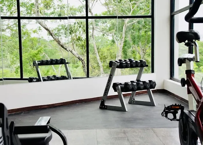 Apartment Private Jungle Cool Pool 500 Mbps Wi-fi 3 Bikes King Bed Tulum
